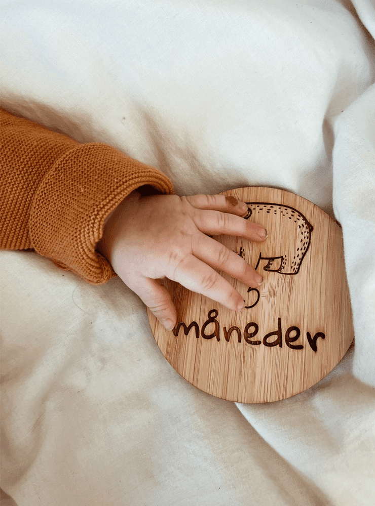 Milepælskort safari1